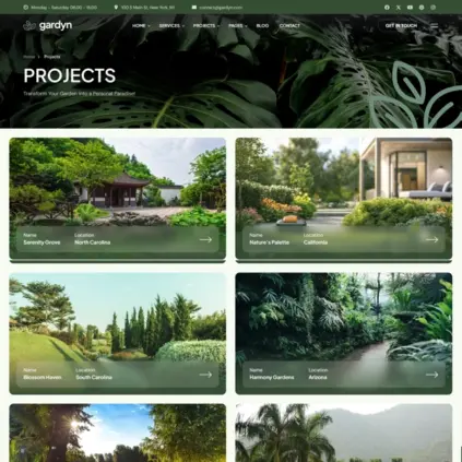 projects